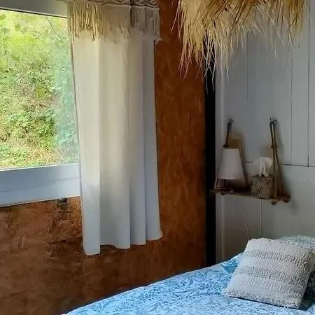La Fourmi Et Son Bain Nordique *