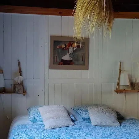 La Fourmi Et Son Bain Nordique Chalet