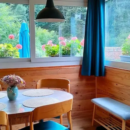 La Fourmi Et Son Bain Nordique Chalet Sainte-Marie-aux-Mines