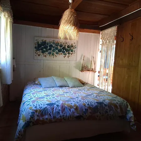 La Fourmi Et Son Bain Nordique Chalé Sainte-Marie-aux-Mines