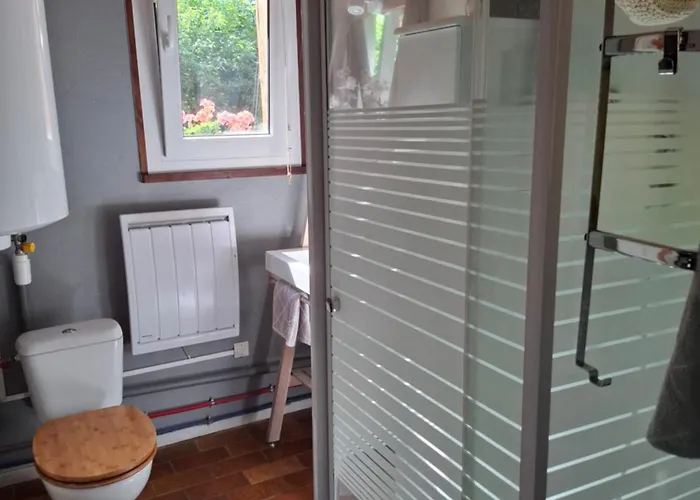 La Fourmi Et Son Bain Nordique * Sainte-Marie-aux-Mines