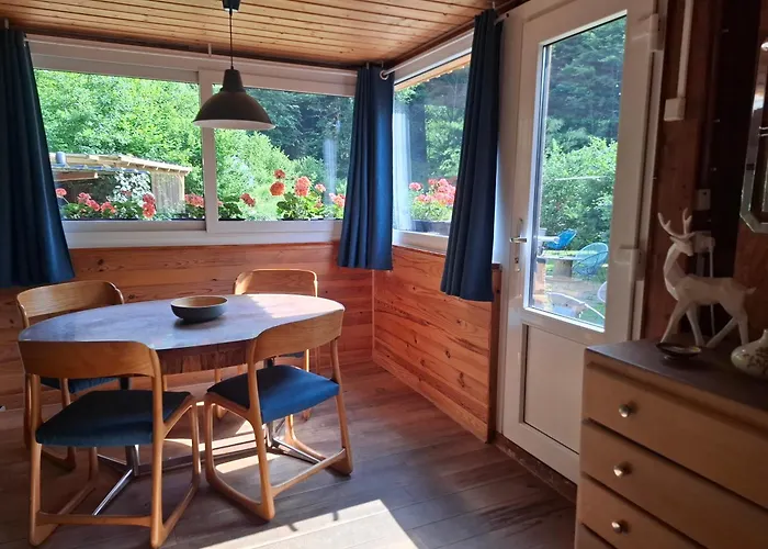 La Fourmi Et Son Bain Nordique *