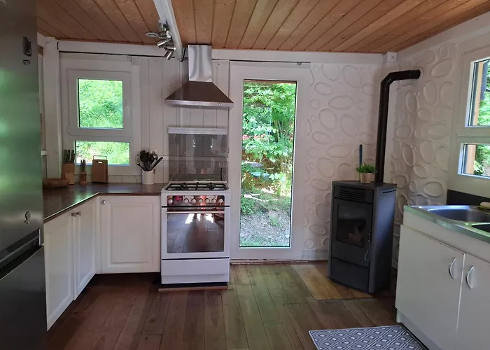 La Fourmi Et Son Bain Nordique